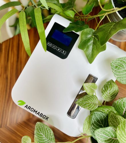 Difuzor Sense bijeli(1)